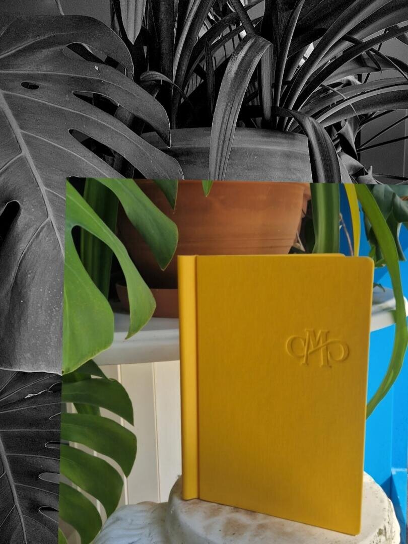 Ein gelbes Buch mit festem Einband und geprägten Buchstaben steht aufrecht auf einer weißen Fläche, umgeben von grünen Blättern und einem braunen Blumentopf. Der Hintergrund vereint schwarz-weiße und farbige Pflanzenmotive.