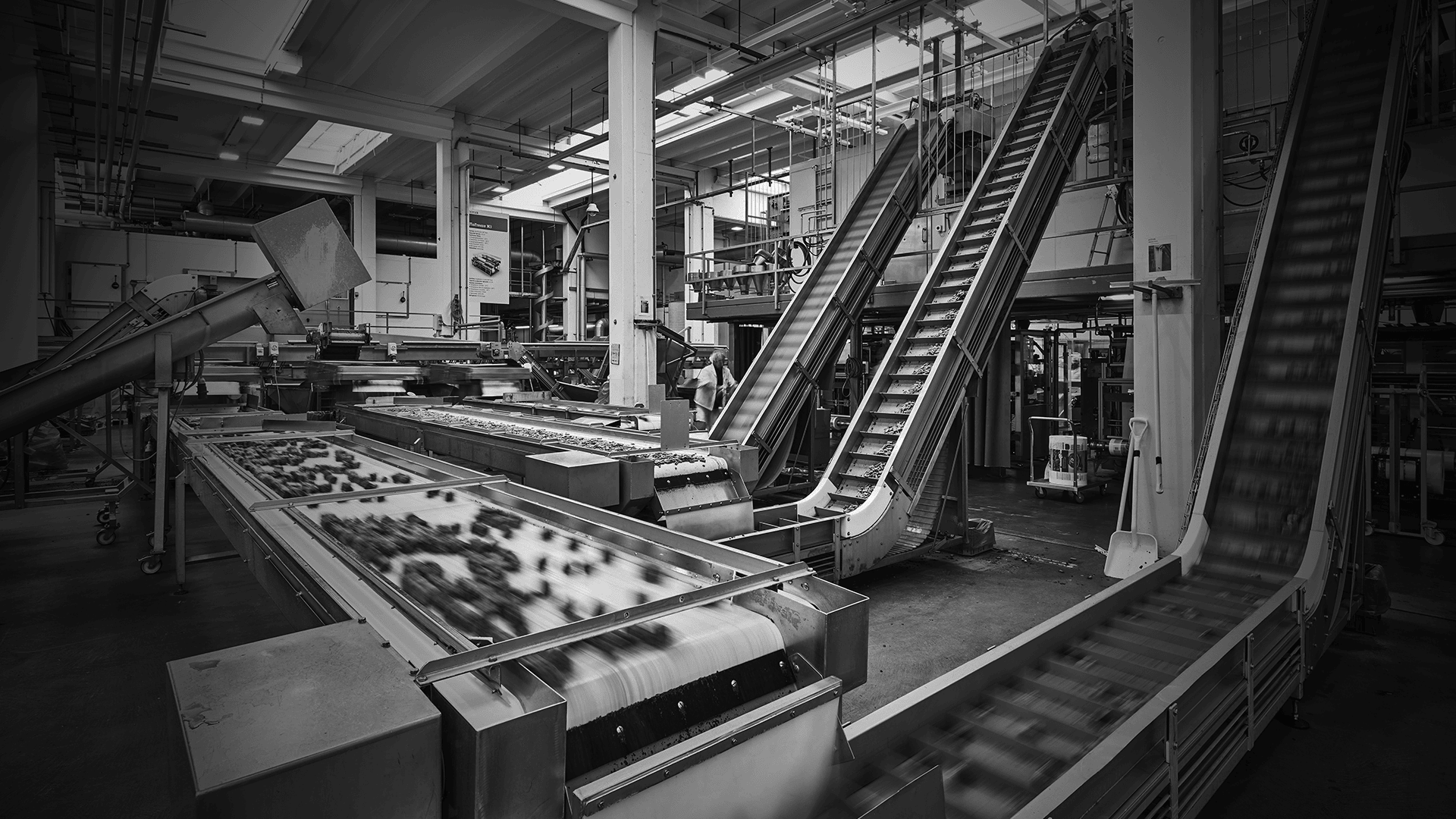 Ein Schwarz-Weiß-Foto einer industriellen Lebensmittelverarbeitungsanlage mit Förderbändern, die Produkte transportieren, Metallmaschinen und Geräten, die in einem großen, offenen Arbeitsbereich zu sehen sind.