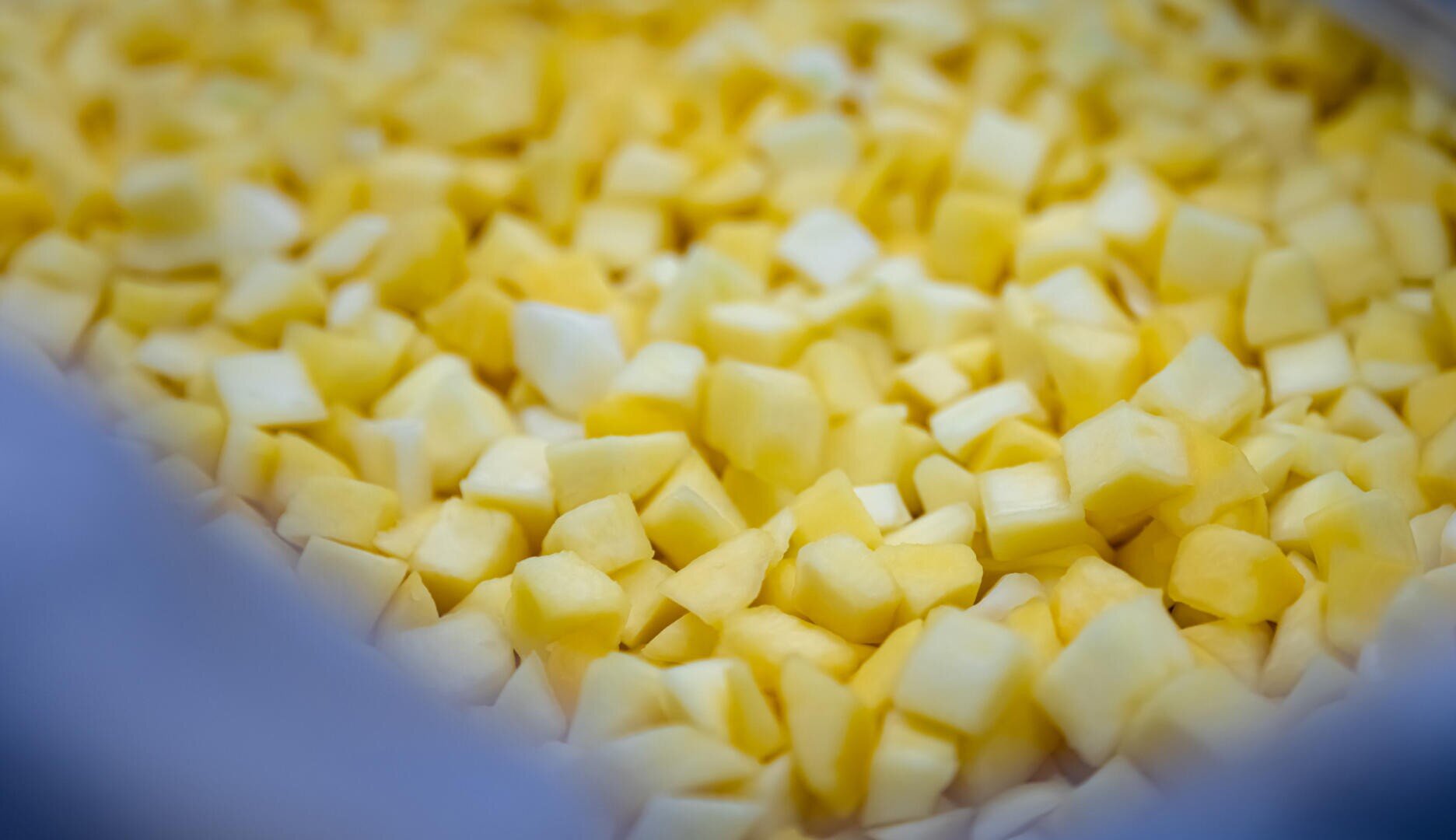 Eine Nahaufnahme von vielen kleinen, gleichmäßig geschnittenen gelben und weißen Würfeln – wahrscheinlich gewürfelte Obst- oder Gemüsestücke –, die das Bild ausfüllen.