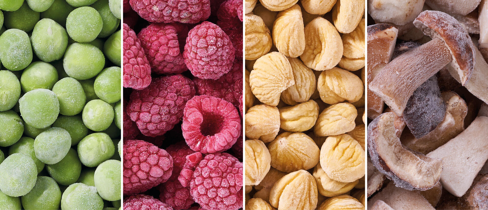 Nahaufnahme von vier Ausschnitten, die Tiefkühlkost zeigen: grüne Erbsen, rote Himbeeren, gelbe Kastanien und in Scheiben geschnittene braune Champignons. Jeder Ausschnitt verdeutlicht die Konsistenz und Farbe der verschiedenen Tiefkühlprodukte.
