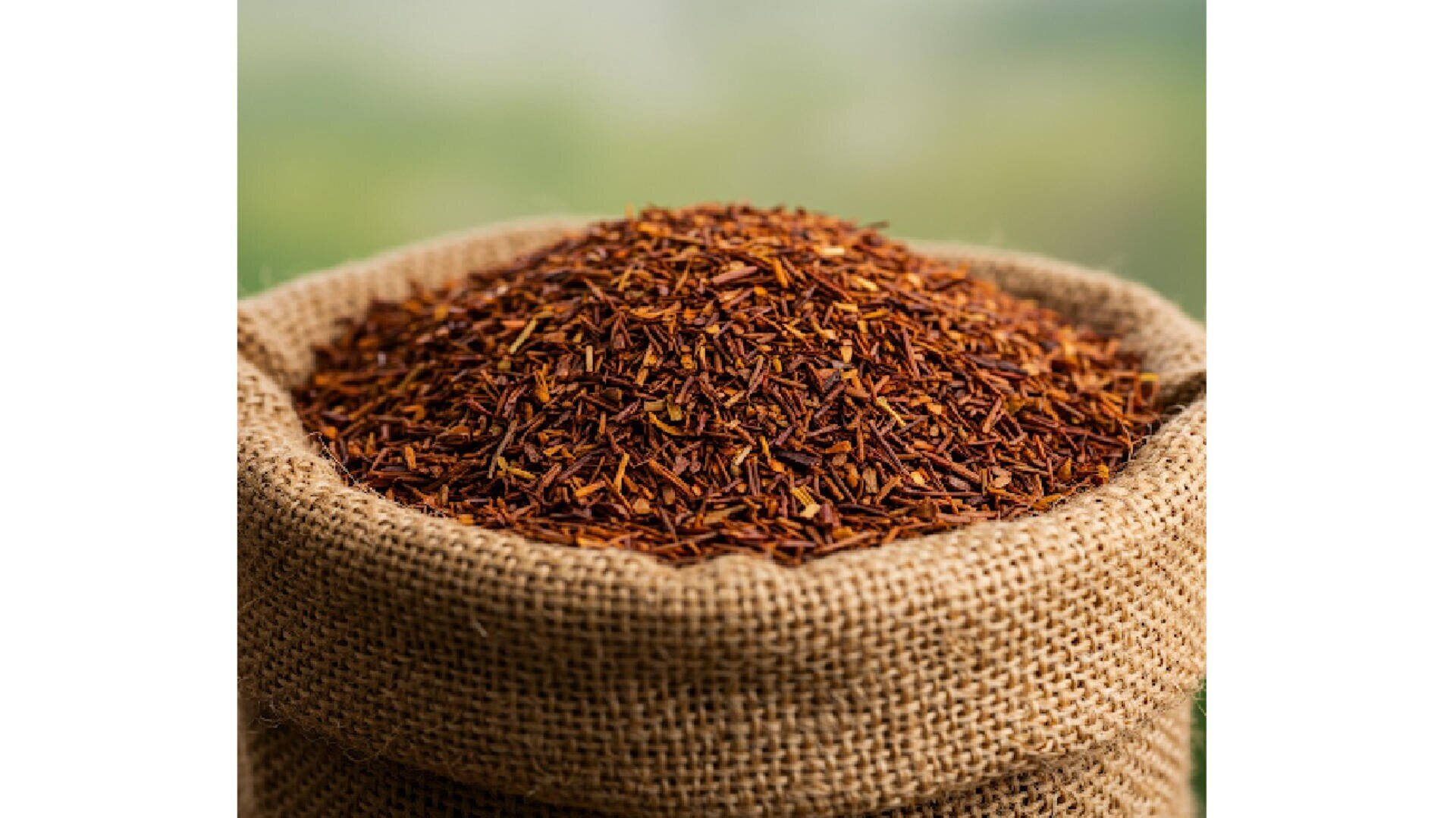 Ein Jutesack, gefüllt mit losen Rooibos-Teeblättern, vor einem verschwommenen grünen Hintergrund.