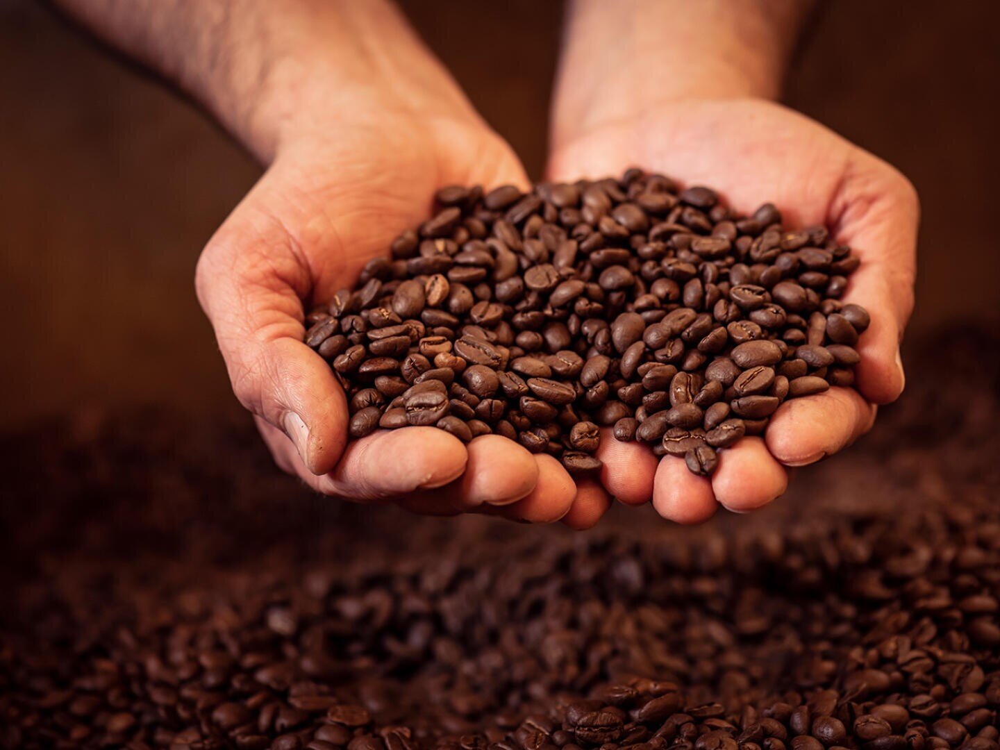 Zwei zu einer Schale geformte Hände, die einen Haufen gerösteter Kaffeebohnen halten, im Hintergrund sind weitere Kaffeebohnen verschwommen zu sehen.