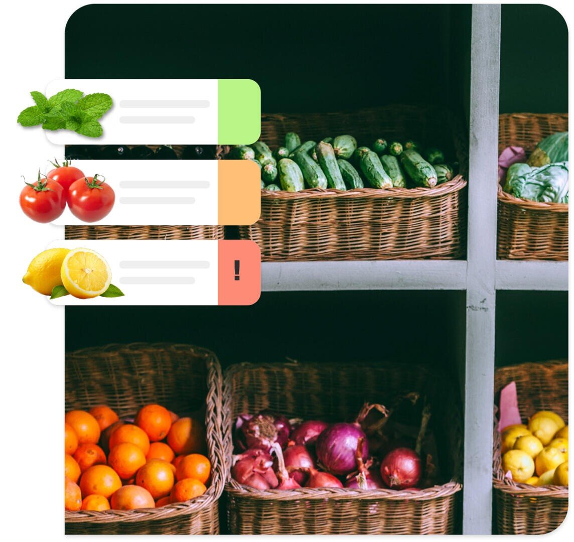 Sechs Weidenkörbe, gefüllt mit Gurken, Kohl, Orangen und Zwiebeln, stehen auf Regalen; im Vordergrund sind Minze, Tomaten und Zitronen zu sehen, links davon farbige Etiketten und Symbole.