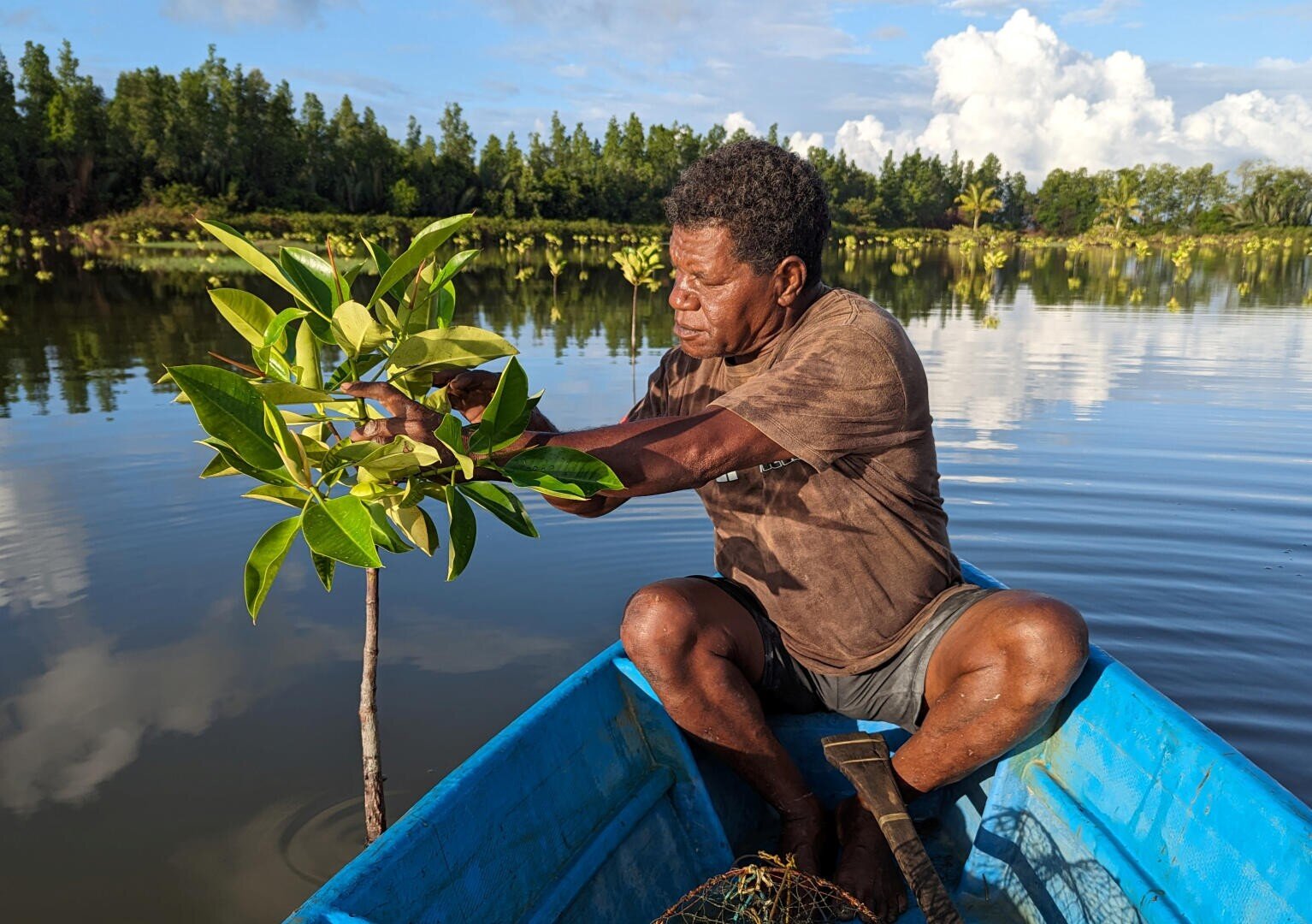Ein Mann sitzt in einem blauen Boot auf ruhigem Wasser und pflanzt einen jungen Mangrovenbaum. Üppiges Grün und Wolken spiegeln sich im See wider, im Hintergrund ist ein bewaldetes Ufer zu sehen.