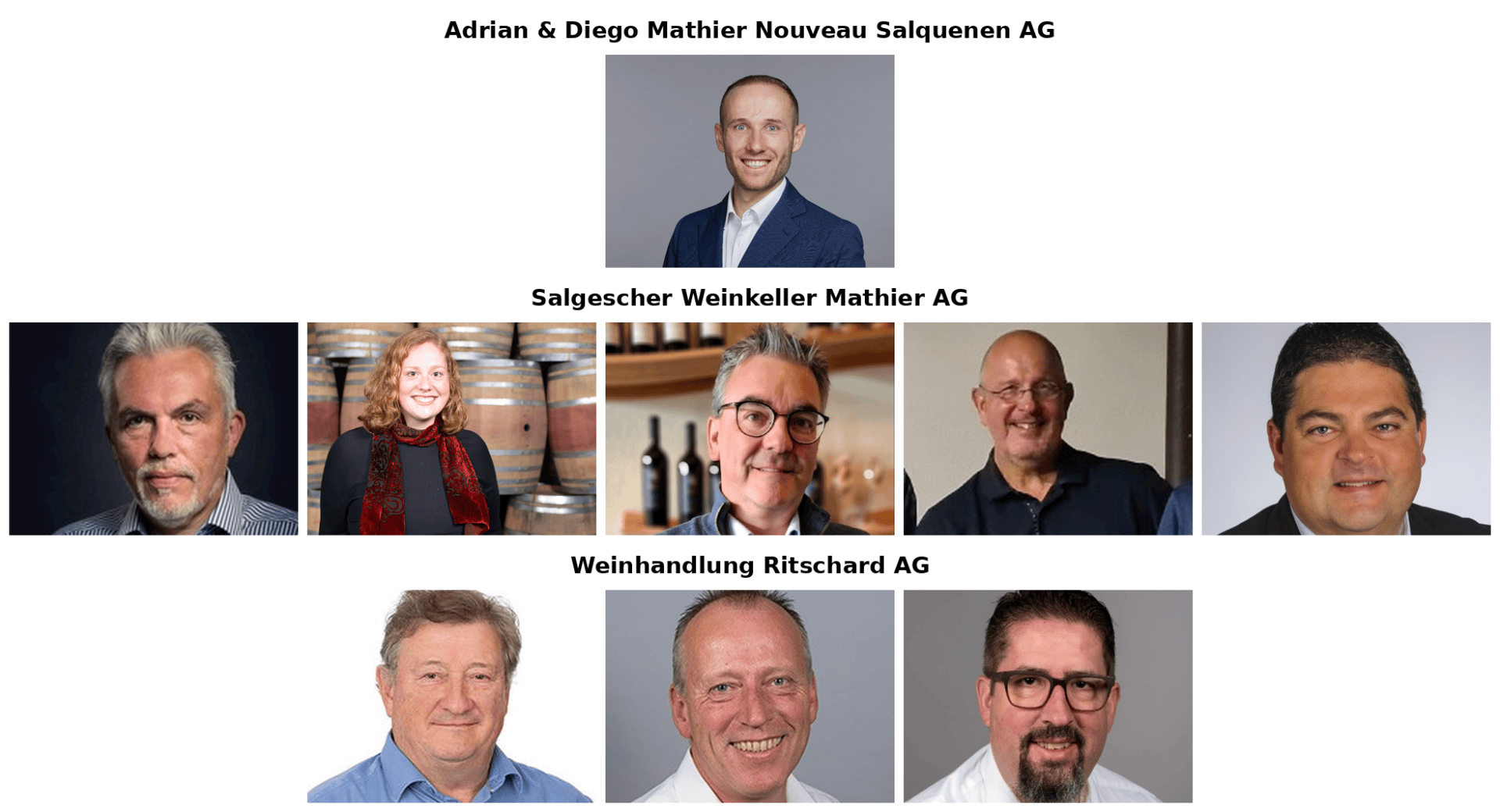 Unternehmensporträts, sortiert nach Firmen: Adrian & Diego Mathier Nouveau Salquenen AG, Salgescher Weinkeller Mathier AG und Weinhandlung Ritschard AG. Das Bild zeigt eine Rasteranordnung professioneller Porträts verschiedener männlicher und weiblicher Mitarbeiter.