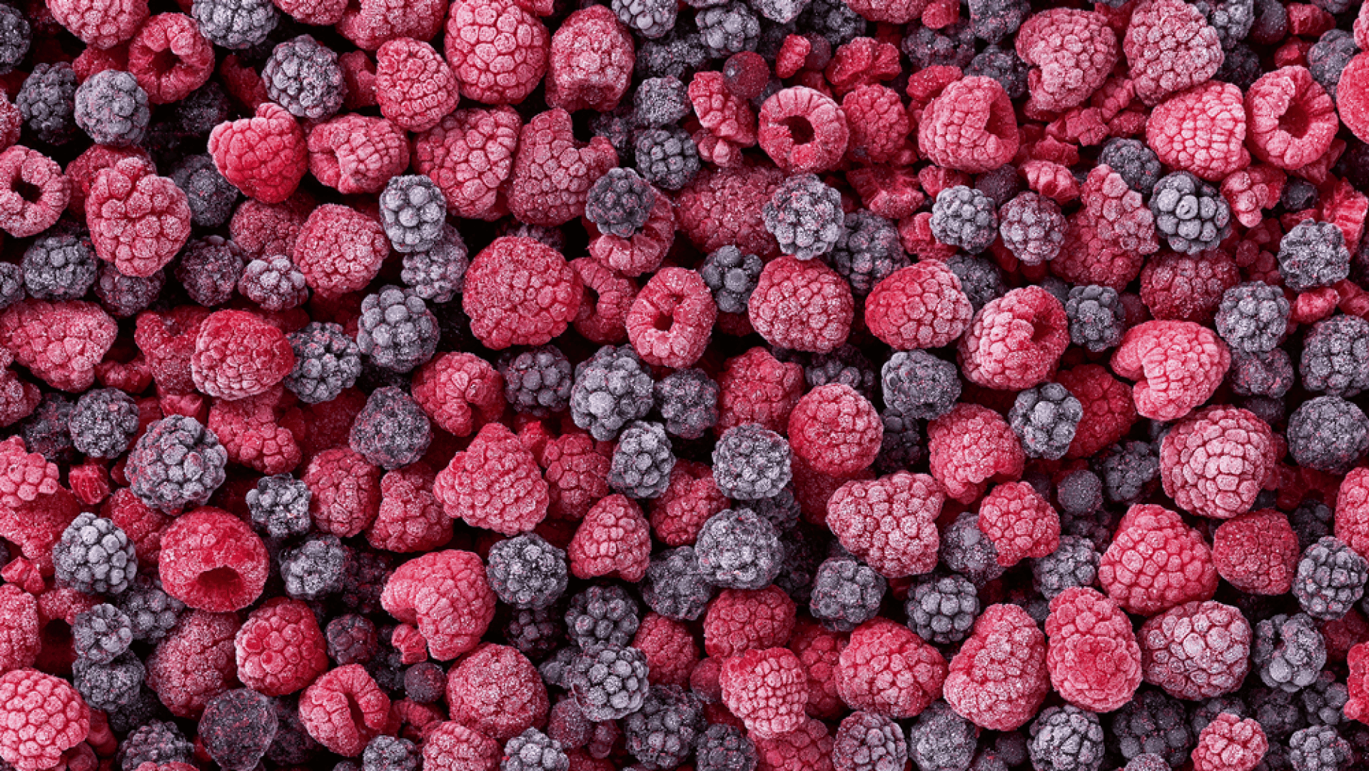 Eine Nahaufnahme eines großen Haufens gefrorener Himbeeren und Brombeeren, die mit einer dünnen Frostschicht bedeckt sind und ihre leuchtend roten und dunkelvioletten Farben zur Geltung bringen.