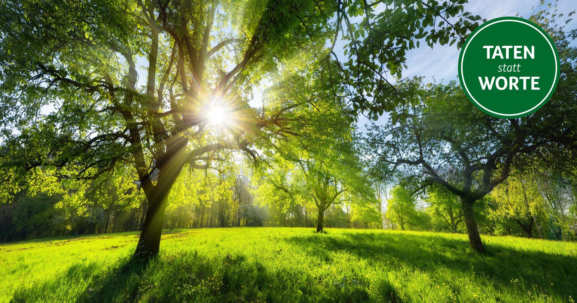Sonnenlicht fällt durch die Bäume auf eine üppig grüne Wiese; in der rechten oberen Ecke ist ein rundes Abzeichen mit der Aufschrift TATEN statt WORTE zu sehen.
