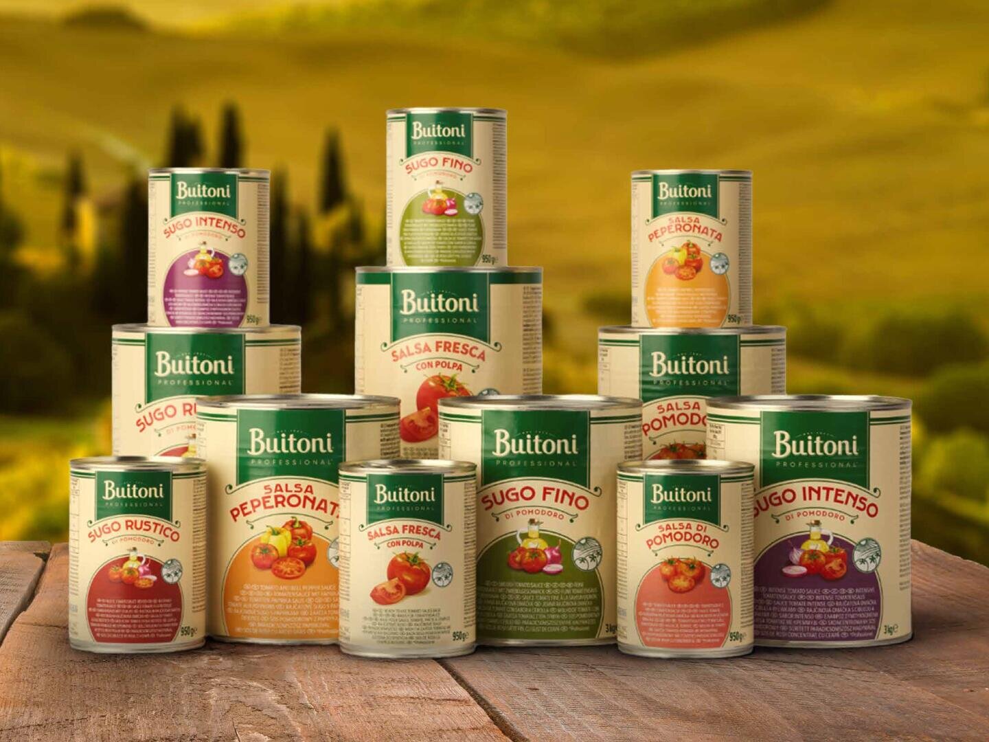 Eine Auswahl von elf Tomatensoßen aus der Buitoni Professional-Reihe in Dosen, angeordnet auf einem Holztisch vor einem unscharfen Außenhintergrund.