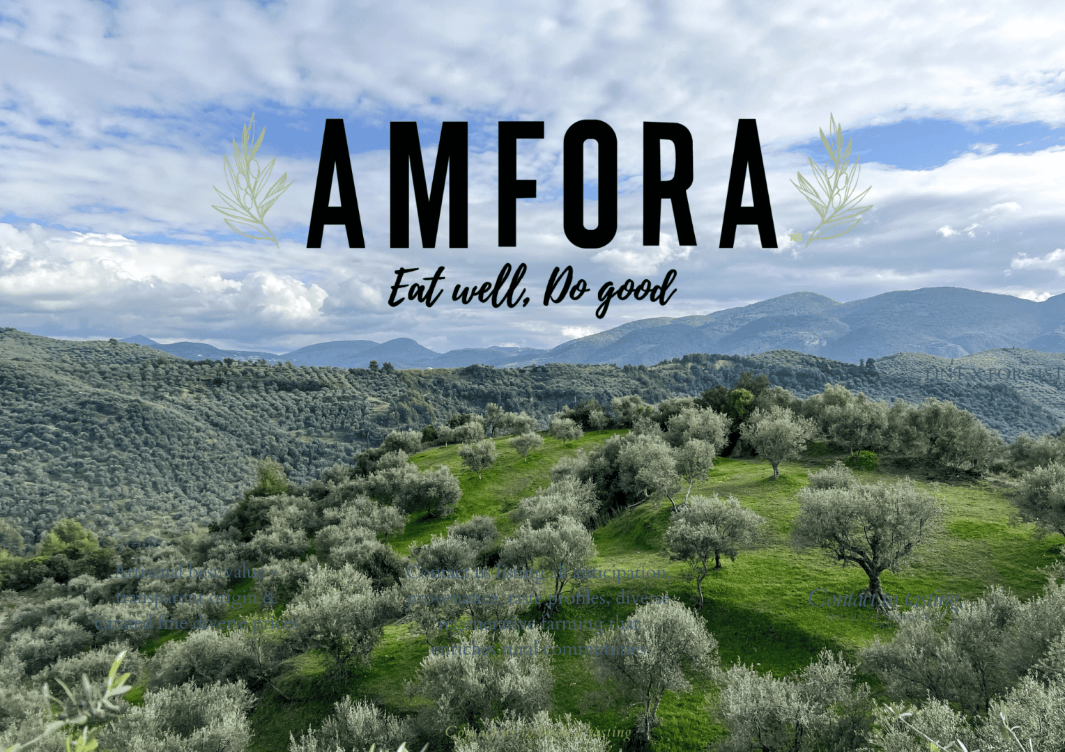 Der Text AMFORA – Gut essen, Gutes tun ist über ein Bild eines Olivenhains in einer hügeligen Landschaft gelegt.
