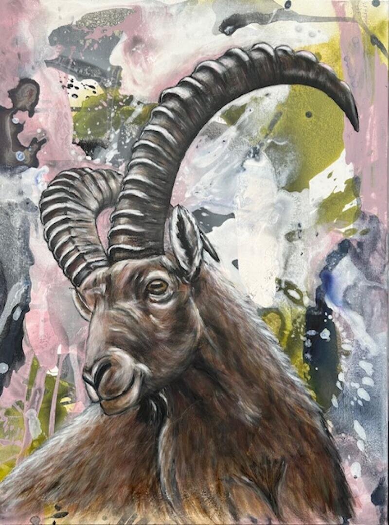 Vor einem farbenfrohen, abstrakten Hintergrund aus rosa, grünen, weißen und grauen Farbspritzern ist ein gemalter Steinbock mit großen, geschwungenen Hörnern dargestellt.