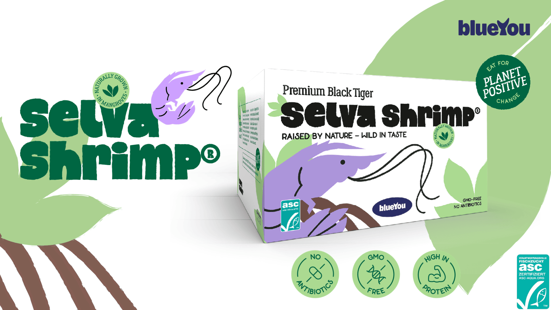 Eine Schachtel „Selva Shrimp“ mit einer abgebildeten Garnele, den Logos von ASC und Planet Positive sowie grünem Text auf weißem Hintergrund, der darauf hinweist, dass das Produkt antibiotikafrei, gentechnikfrei, proteinreich und aus nachhaltiger Zucht stammt.