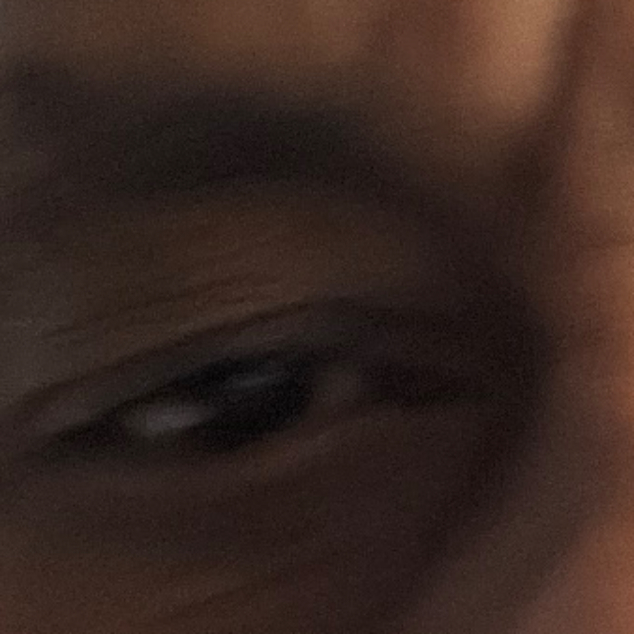 Santhan Alagkarajah