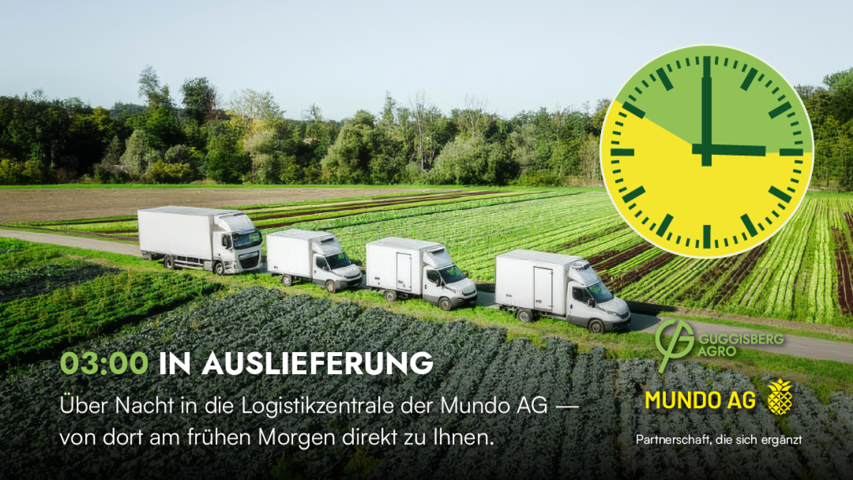 in Auslieferung